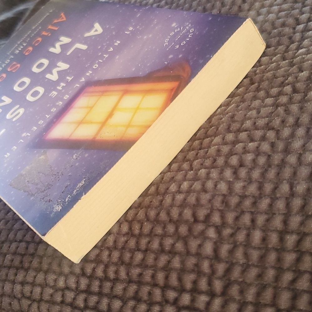 Alice Sebold The Almost Moon Paperback Book - Picture 6 of 7